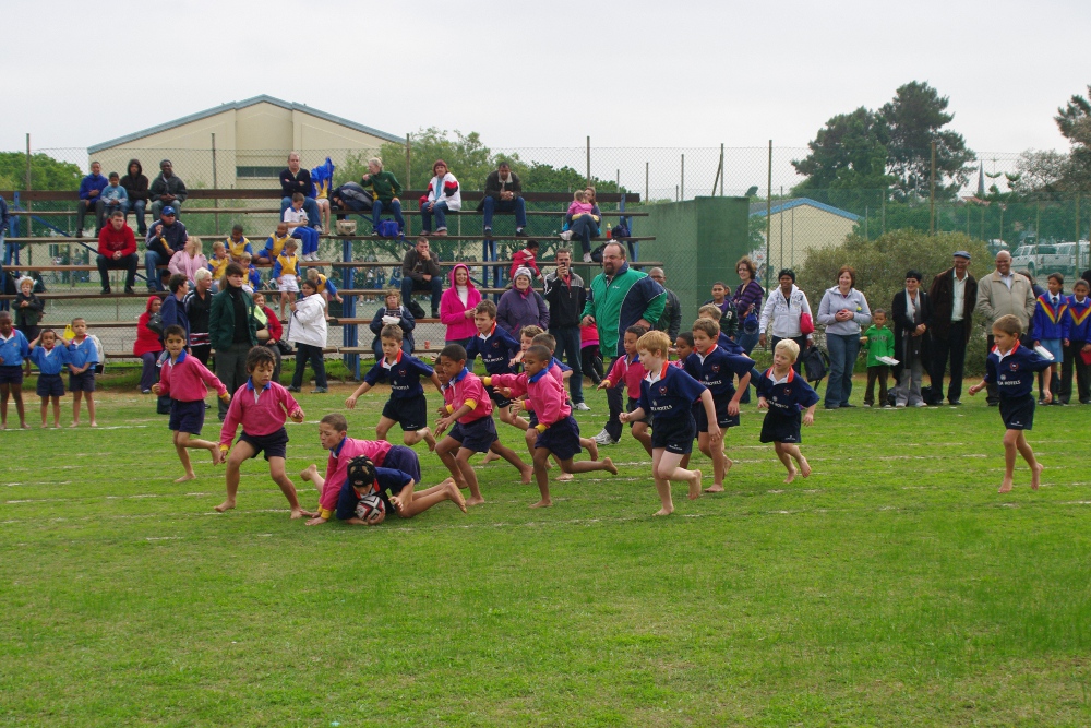 Photo Number 201